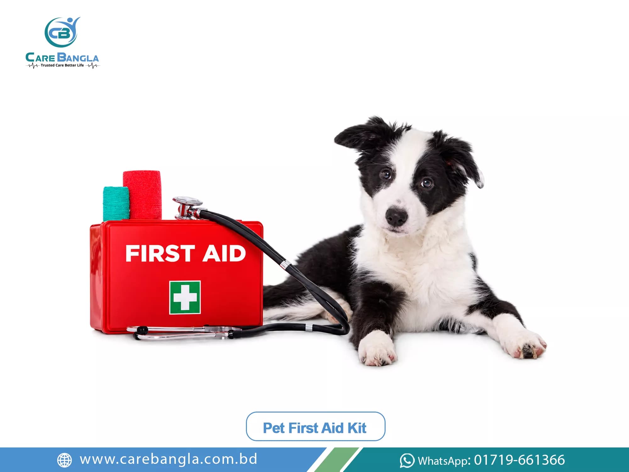 Pet First Aid Kit Price in Bangladesh — thirty-piece pet first aid kit in a zip nylon case with bandages, gloves and a muzzle