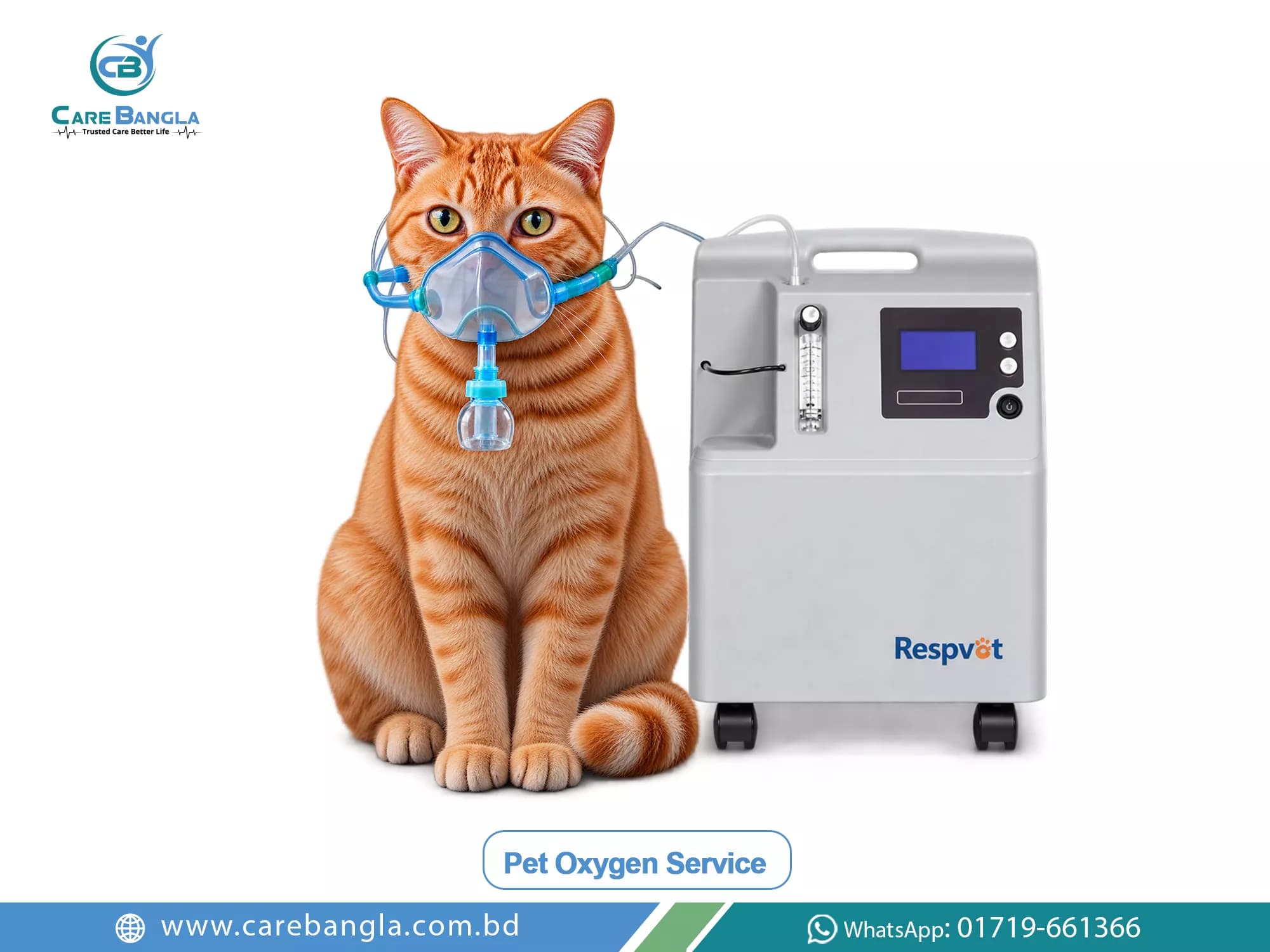 Pet Oxygen Service Price in Bangladesh Pet Oxygen Service Price in Bangladesh — pet oxygen chamber with clear panels beside an oxygen concentrator and a dog