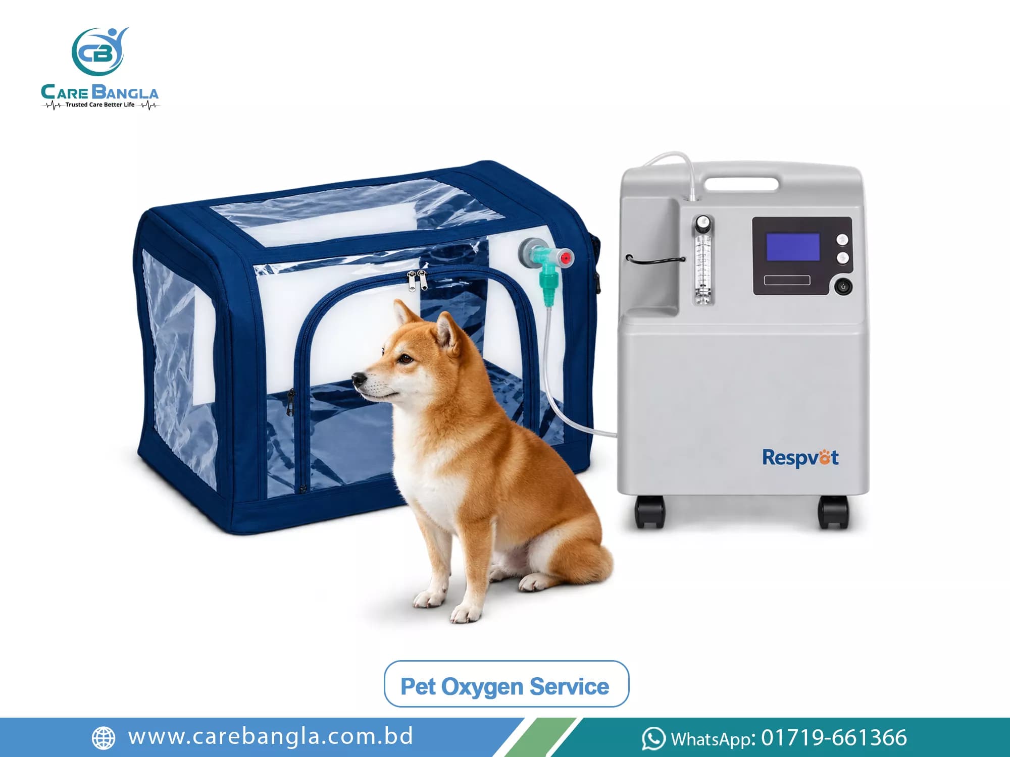 Pet Oxygen Service Price in Bangladesh — photo 2