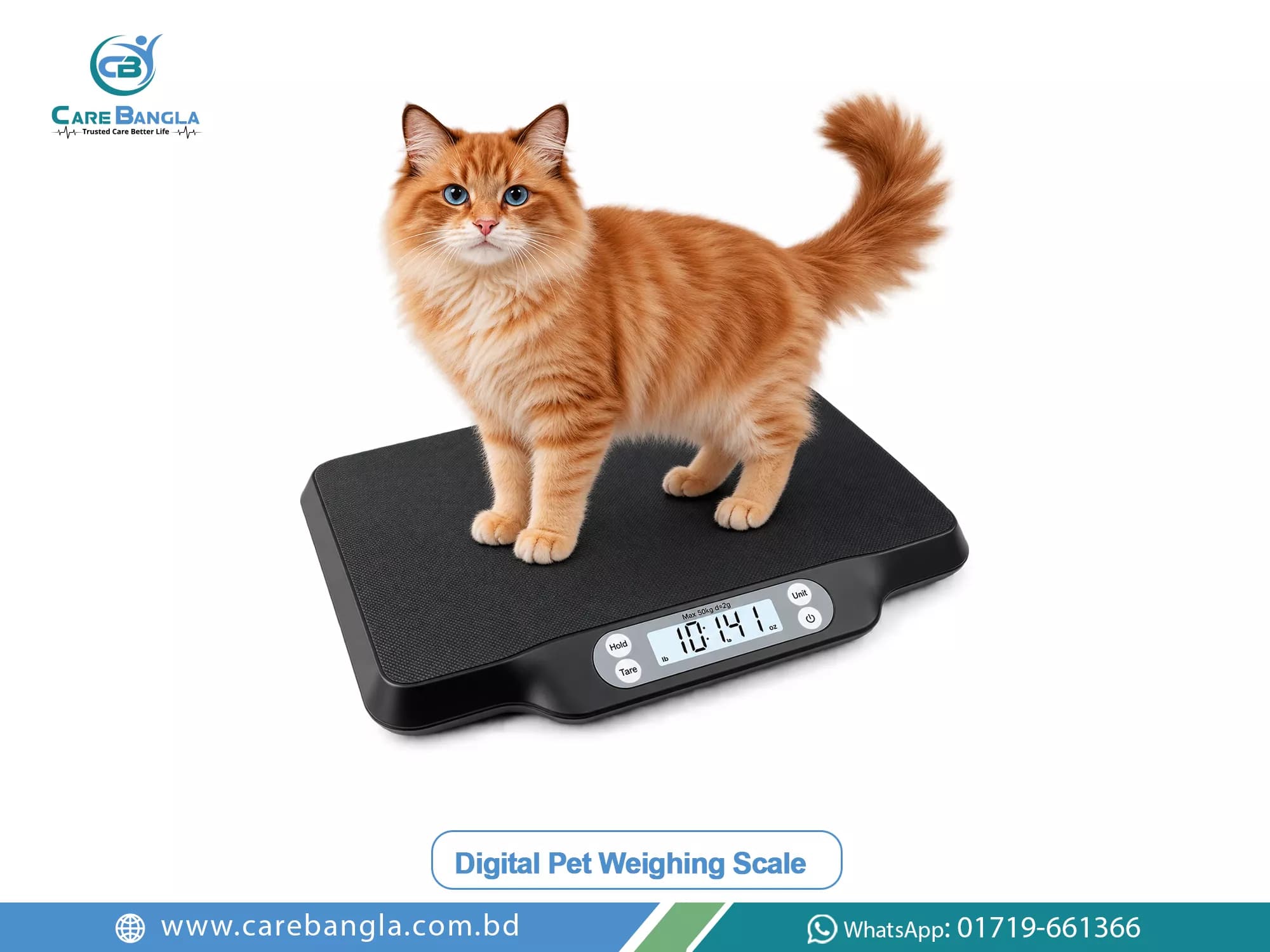 Digital Pet Weighing Scale Price in Bangladesh Digital Pet Weighing Scale Price in Bangladesh — digital pet weighing scale with wide platform, LCD display and tare function